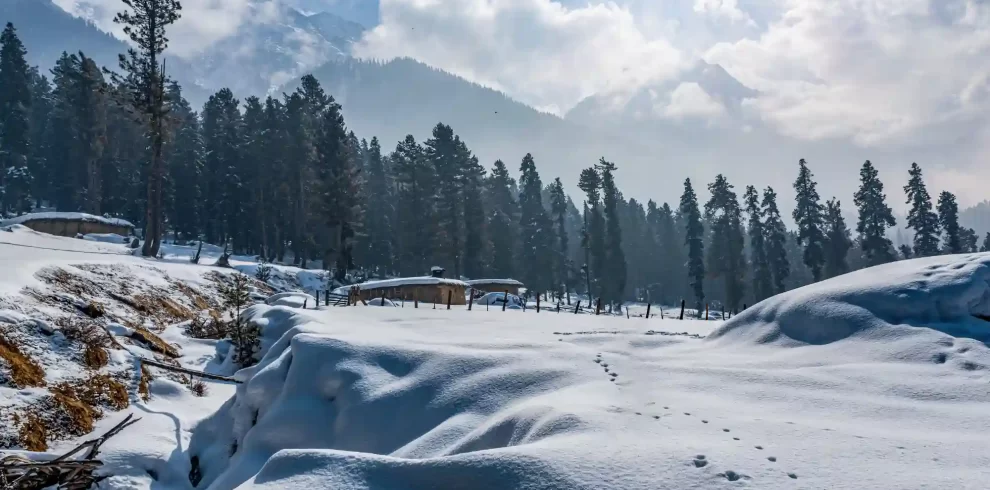Kashmir (3)