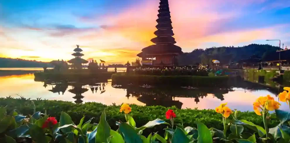 bali (6)