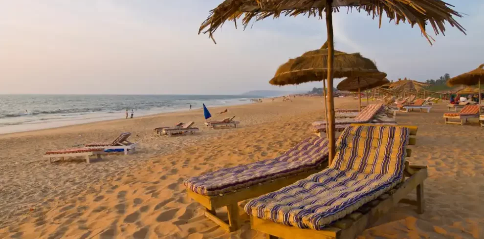 goa (5)