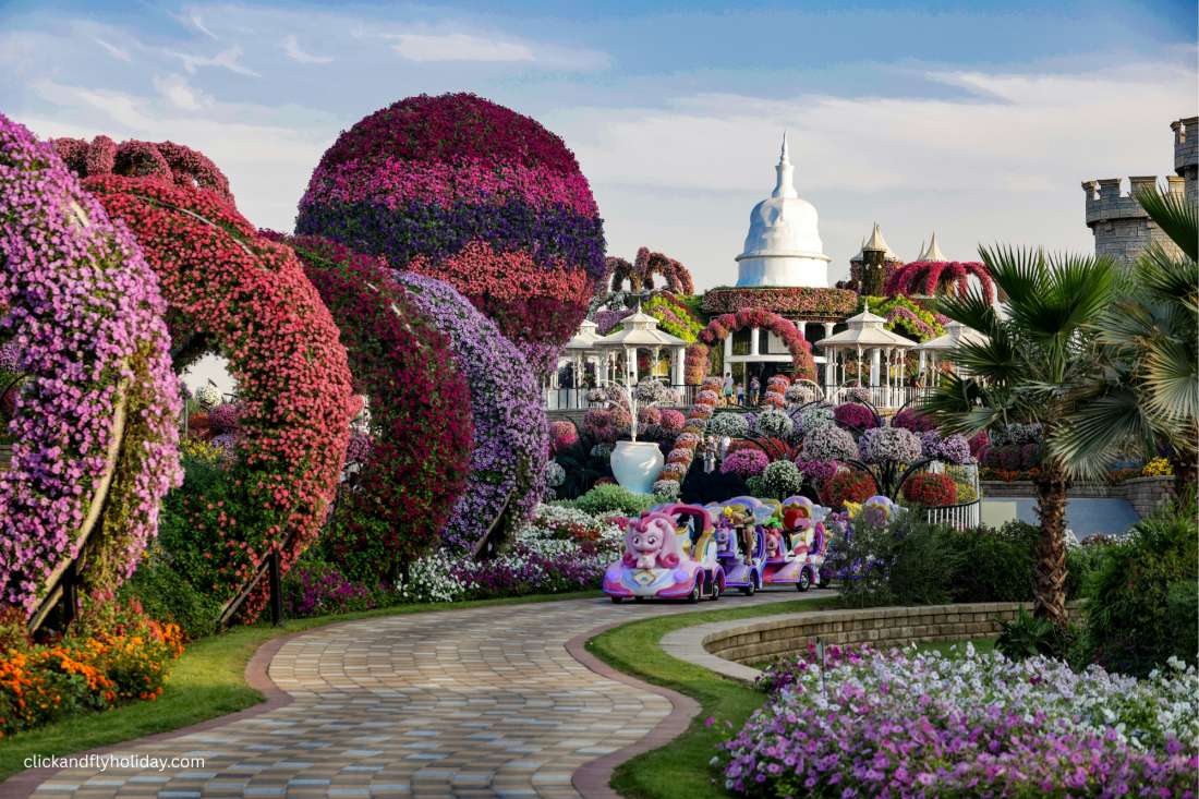 Dubai Miracle Garden 1