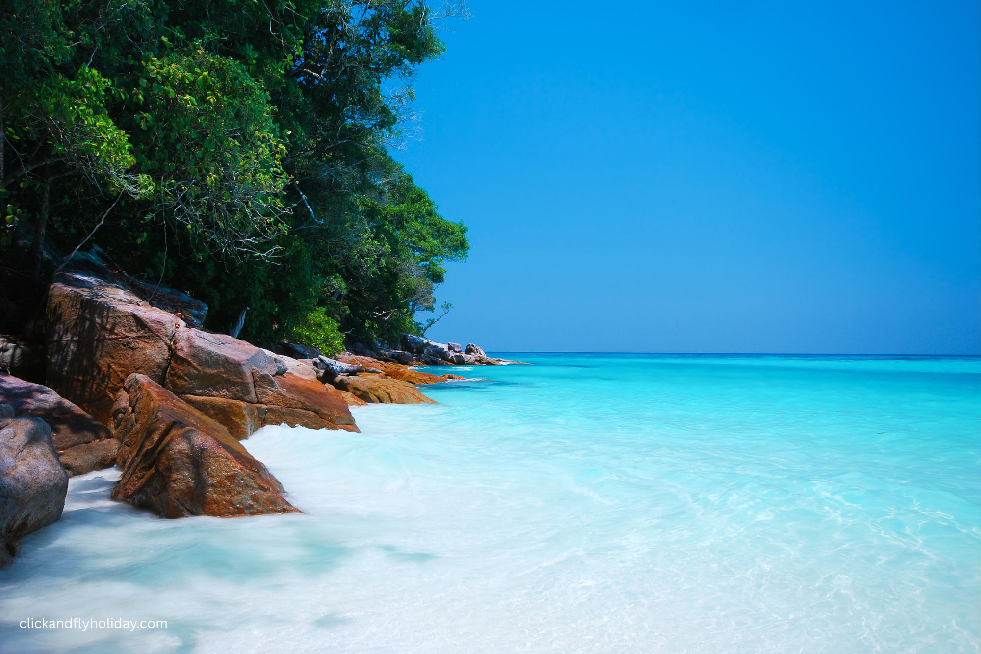 Andaman Tour package 4